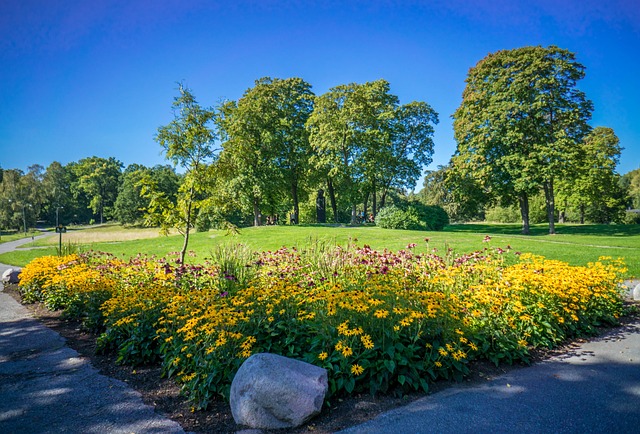 STOCKHOLMSVECKAN I VISBY