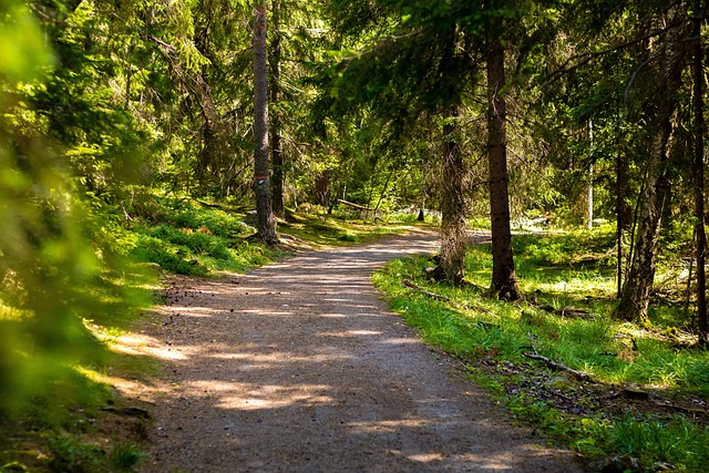 LUMMELUNDAGROTTAN OCH MEDELTIDSVECKAN