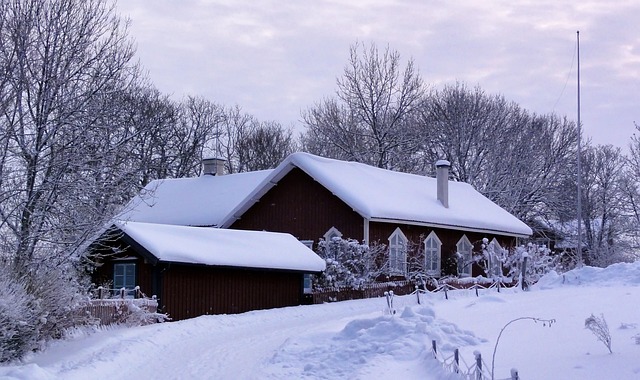 FIRA JUL PÅ GOTLAND