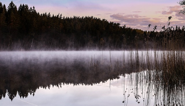 GOTLANDS NATUR – VACKER ÄVEN PÅ VINTERN